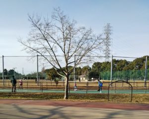 健康福祉村 スケートエリア3