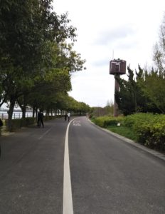 カマキリ公園道路