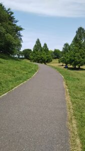 大宮第二公園春4