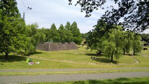 大宮第二公園春3