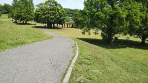 大宮第二公園春2