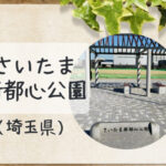 【さいたま新都心公園と周辺情報】幼児・小学生におすすめの複合遊具や広場