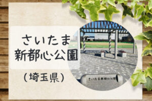 【さいたま新都心公園と周辺情報】幼児・小学生におすすめの複合遊具や広場