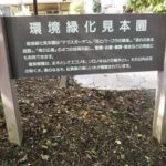 大宮第二公園環境緑化見本園4
