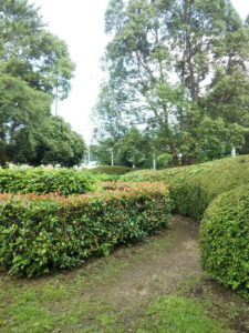 大宮第二公園環境緑化見本園7