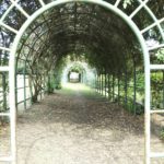 大宮第二公園環境緑化見本園1