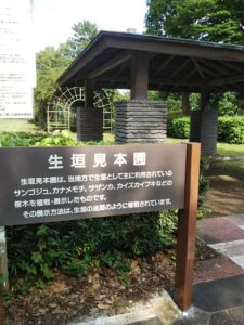 大宮第二公園環境緑化見本園6