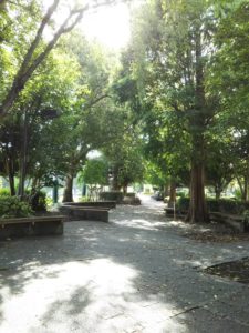 大宮第二公園環境緑化見本園2