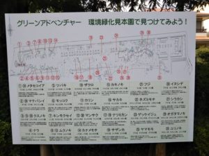 大宮第二公園環境緑化見本園3