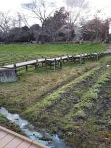 大宮第二公園南4