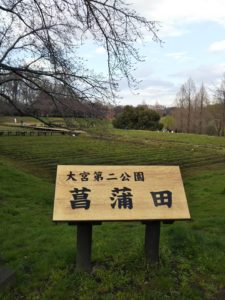 大宮第二公園南3