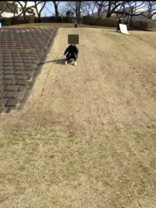 大宮第二公園土手