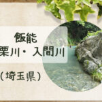 飯能の名栗川(入間川)河原で川遊び☆駐車場だけ利用は清流園がおすすめ!