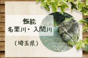 飯能の名栗川（入間川）河原で川遊び☆駐車場だけ利用は清流園がおすすめ！　
