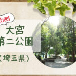【大宮第二公園北側】広い芝生広場&ジョギングや犬のお散歩にもおすすめ