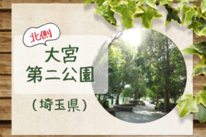 【大宮第二公園北側】広い芝生広場＆ジョギングや犬のお散歩にもおすすめ