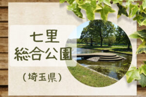 七里総合公園｜大型遊具＆水遊び＆アスレチックで楽しむ！すいていて穴場！？