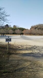 丸山公園多目的広場