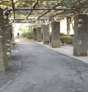 上尾丸山公園運動広場1