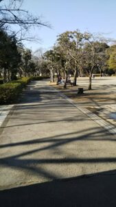 上尾丸山公園運動広場2