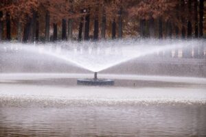 別所沼公園噴水
