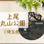 【上尾丸山公園】大型複合遊具や石の長いすべり台がおすすめ!広場もたくさん