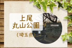 【上尾丸山公園】大型複合遊具や石の長いすべり台がおすすめ!広場もたくさん