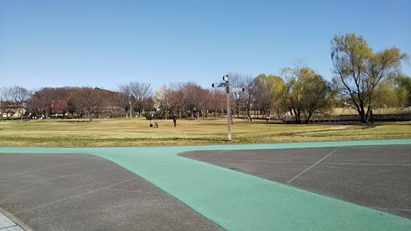 大宮第三公園 遊具なし テント スケボーok ジョギング ウォーキングコースあり