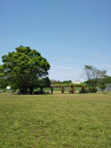 大宮第二公園池まわり1
