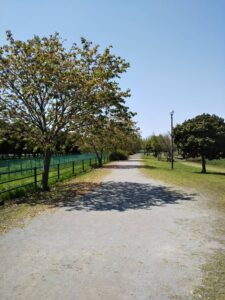 七里総合公園11