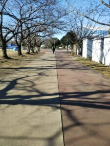 健康福祉村ウォーキングエリア