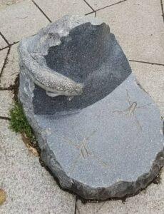 見沼自然公園19