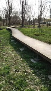 見沼自然公園15