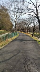 見沼自然公園18