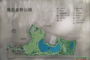 見沼自然公園25