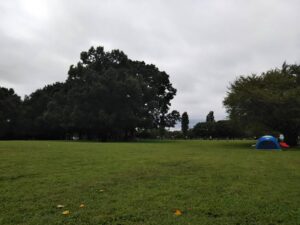 健康福祉村芝生広場3