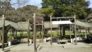 見沼自然公園22