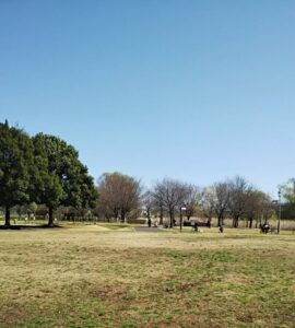 大宮第三公園31