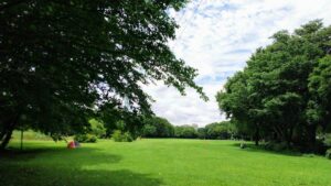 見沼自然公園29