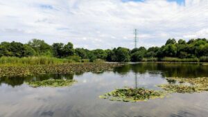 見沼自然公園26