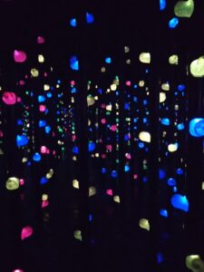 チームラボ光の森の3Dボルダリング1