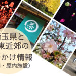 埼玉県・関東近郊のおすすめ子連れおでかけスポット・大きな公園まとめ