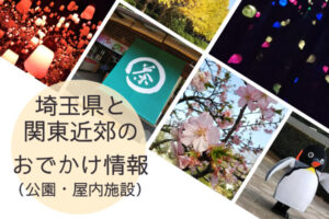 埼玉県・関東近郊のおすすめ子連れおでかけスポット・大きな公園まとめ
