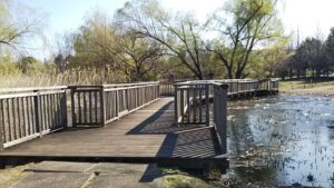 大宮第三公園10