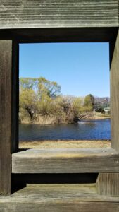 大宮第三公園12