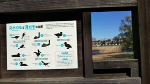 大宮第三公園13