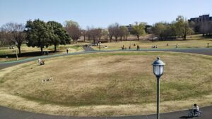 大宮第三公園23