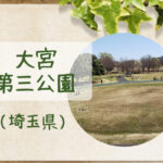 【大宮第三公園】遊具なし|テント・スケボーOK|ジョギング・ウォーキングコースあり