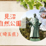 【見沼自然公園】芝生や木陰があって夏にもおすすめの広い公園|野鳥観察もできる
