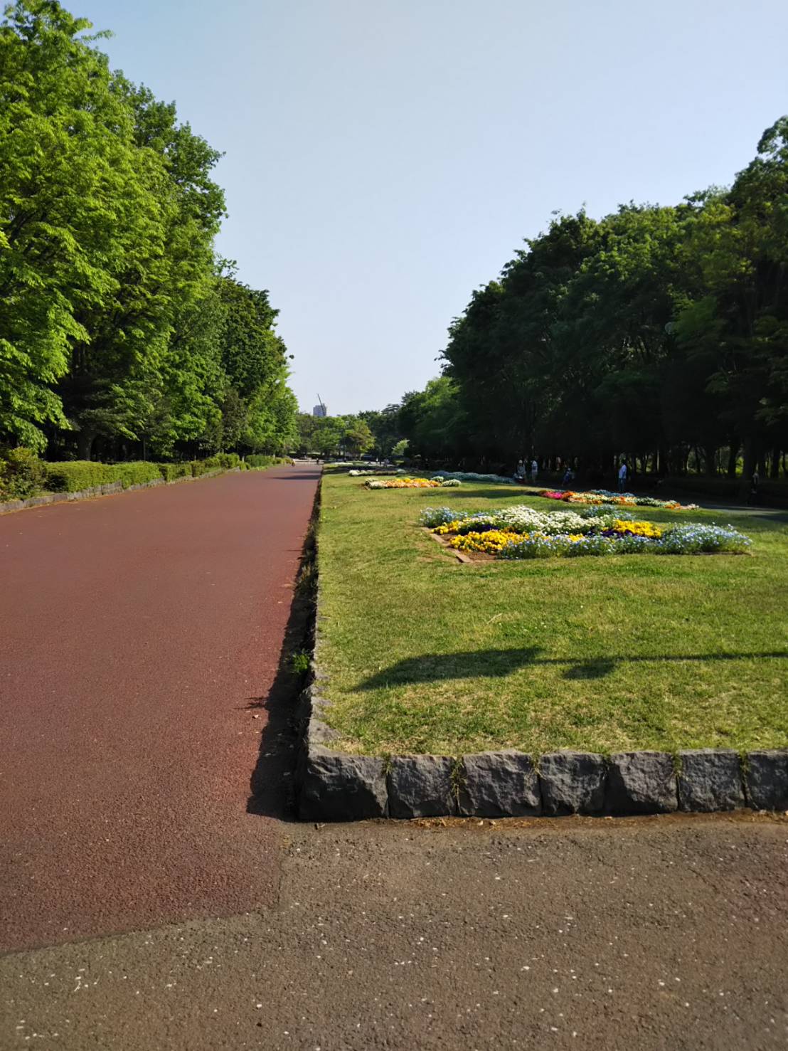 所沢航空記念公園 遊具や芝生広場 熱気球体験やドッグランもあるおすすめの公園